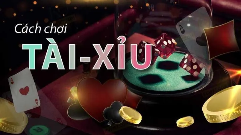 Cách chơi tài xỉu dễ thắng chuẩn không cần chỉnh cho anh em 3 Cách chơi tài xỉu dễ thắng cho người chơi mới