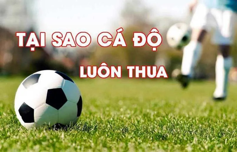 Cá độ bóng đá dễ tham gia nhưng không có kiến thức, chiến thuật thì khó thành công